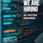 JUNIOR PYTHON ENGINEER